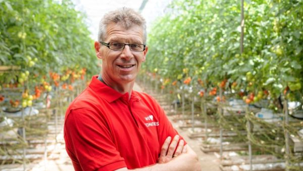 Frank Dekker - Dekker Glascultures - Tomates - Prominente - Países Bajos