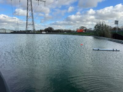 Ron de Bakker - Laguna Plants - Plantes - Wateringen - Pays-Bas