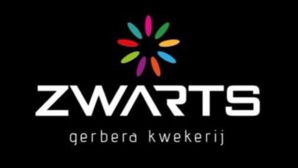 Simon Zwarts - Zwarts Gerberas - Flores - Mijdrecht - Países Baixos