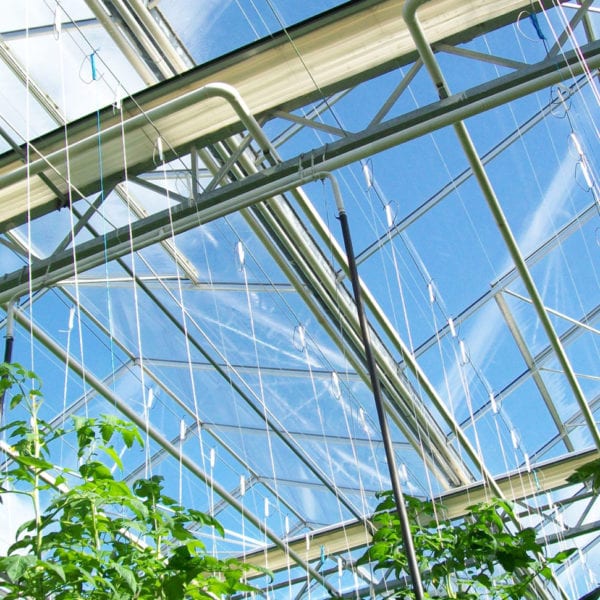 Tuinbouw