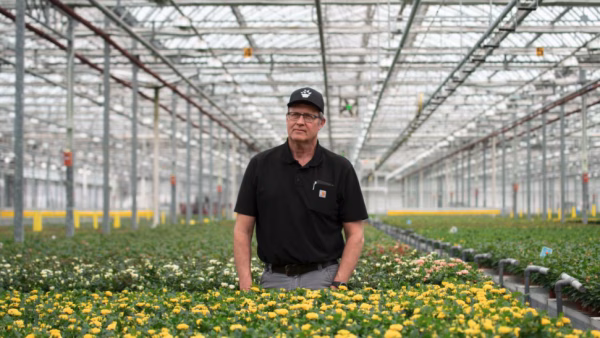 Aldershot Greenhouses - Len Vander Lugt, CEO - Bitkiler - Kanada