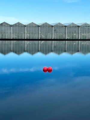Bassins / meren