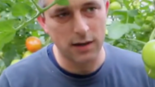 Jan en Frans Zeinstra – Greenhouse Dili BV & Dili Crop BV – Tomaten – Berlikum – Nederland