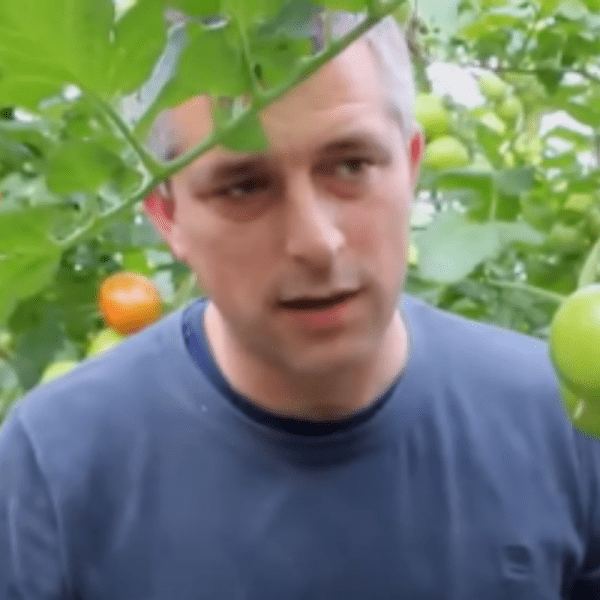 Jan and Frans Zeinstra - Greenhouse Dili BV & Dili Crop BV - Tomatoes - Berlikum - Netherlands