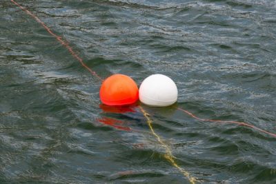 "After 21 years for the first time, no thread algae in the basin"