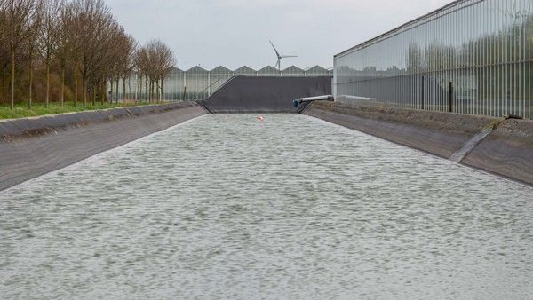 “Na 21 jaar voor de eerste keer geen draadalg in het bassin”