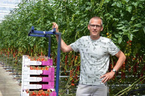 Paul van Paassen - Tomato nursery P.J.M. van Paassen - Tomatoes - Bleiswijk - The Netherlands