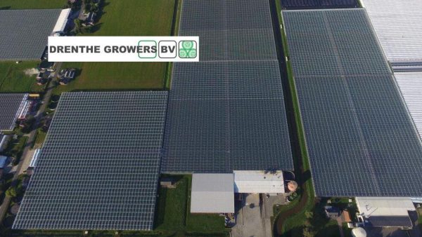 Peter Bergsma – Drenthe Growers – Komkommers – Oxin Growers – Erica