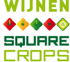 Koen Saris - Wijnen Square Crops - sweet pepper/cucumber - Harvest House - Grubbenvorst - The Netherlands
