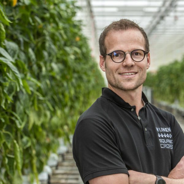 Koen Saris - Wijnen Square Crops - Paprika/Gurke - Erntehaus - Grubbenvorst - Die Niederlande