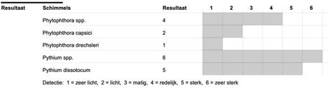 Starker Befall mit Pythium und Pytophthora beseitigt