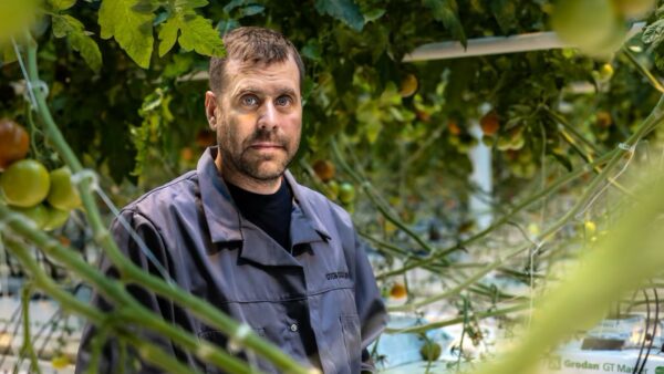 Patrik Sigg - Sven Sigg - Tomatoes - Närpes, Finnland