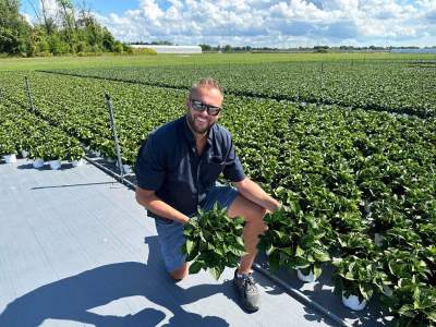 Spring Valley Gardens - Jeremy van Koeveringe - Ornamentals/Plants - St Catherines - Ontario - Canada