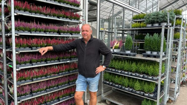 Harry van den Bosch – Eden Plants & Creations – Wezep – Nederland