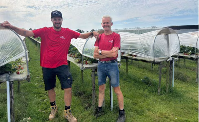 Besar dalam Stroberi Segar -Willem-Jan & Tonnies Groot - Stroberi - Hoogwoud - Belanda
