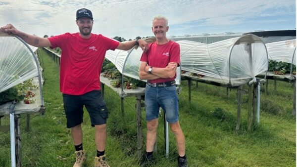 Willem-Jan & Tonnes Groot – Groot in Vers Aardbeien – Hoogwoud – Nederland