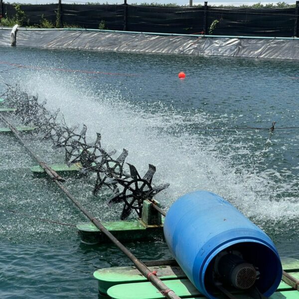 Aquaculture