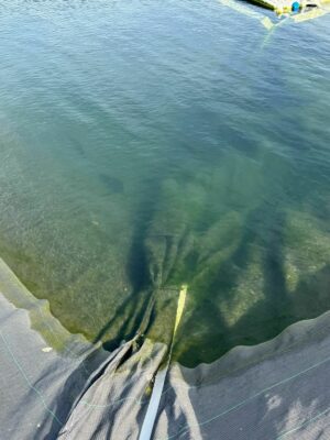 Ultramins en Aquasolsolar, samen: een geweldige combinatie!