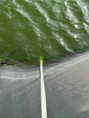 Ultramins en Aquasolsolar, samen: een geweldige combinatie!