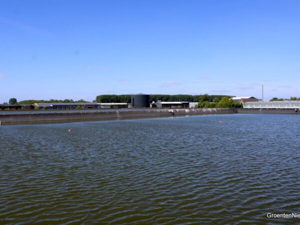Kwalitatief goed gietwater uit groot gemeenschappelijk waterbassin komt Friese telers in droge tijd goed van pas