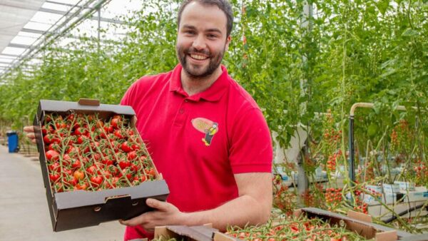 Gardener’s Pride – Marco van Overbeek – Tomaten en Komkommers – Oxin Growers – Nederland