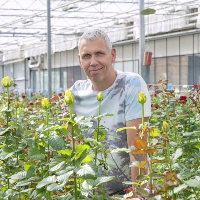 Termeulen Roses - Bram Termeulen - Roses - Países Bajos