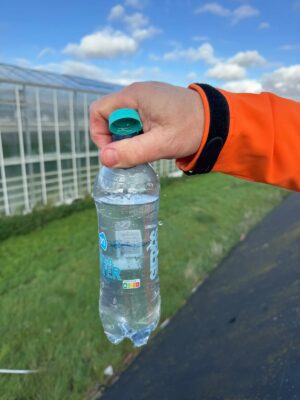 Ron de Bakker - Laguna Plants - Plantes - Wateringen - Pays-Bas