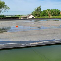 Spring Valley Gardens - Jeremy van Koeveringe - Sierteelt/Planten - St. Catherines - Ontario  - Canada