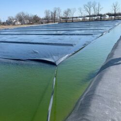 Spring Valley Gardens - Jeremy van Koeveringe - Sierteelt/Planten - St. Catherines - Ontario  - Canada