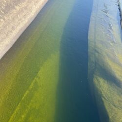 Spring Valley Gardens - Jeremy van Koeveringe - Sierteelt/Planten - St. Catherines - Ontario  - Canada