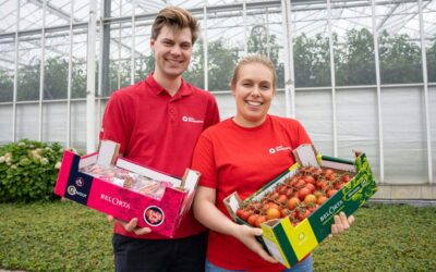 Den Boschkant - Belortha - Jens Peeters e Charlotte Wils - Tomates - Bélgica