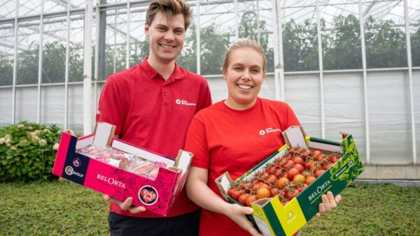 Den Boschkant - Belortha - Jens Peeters e Charlotte Wils - Tomates - Bélgica