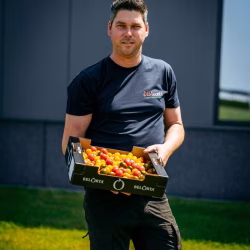 Olbrechts BV - Jeroen Olbrechts - Tomates dulces - Bélgica