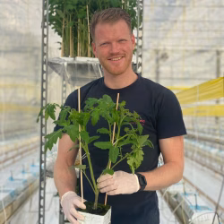 Schenkeveld - Tomates - Richard Schenkeveld - Leon vd Zalm - Prominent & Growers United member - Países Bajos