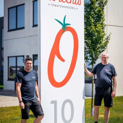 Olbrechts BV - Jeroen Olbrechts - Tomates dulces - Bélgica