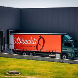 Olbrechts BV - Jeroen Olbrechts - Tomates dulces - Bélgica